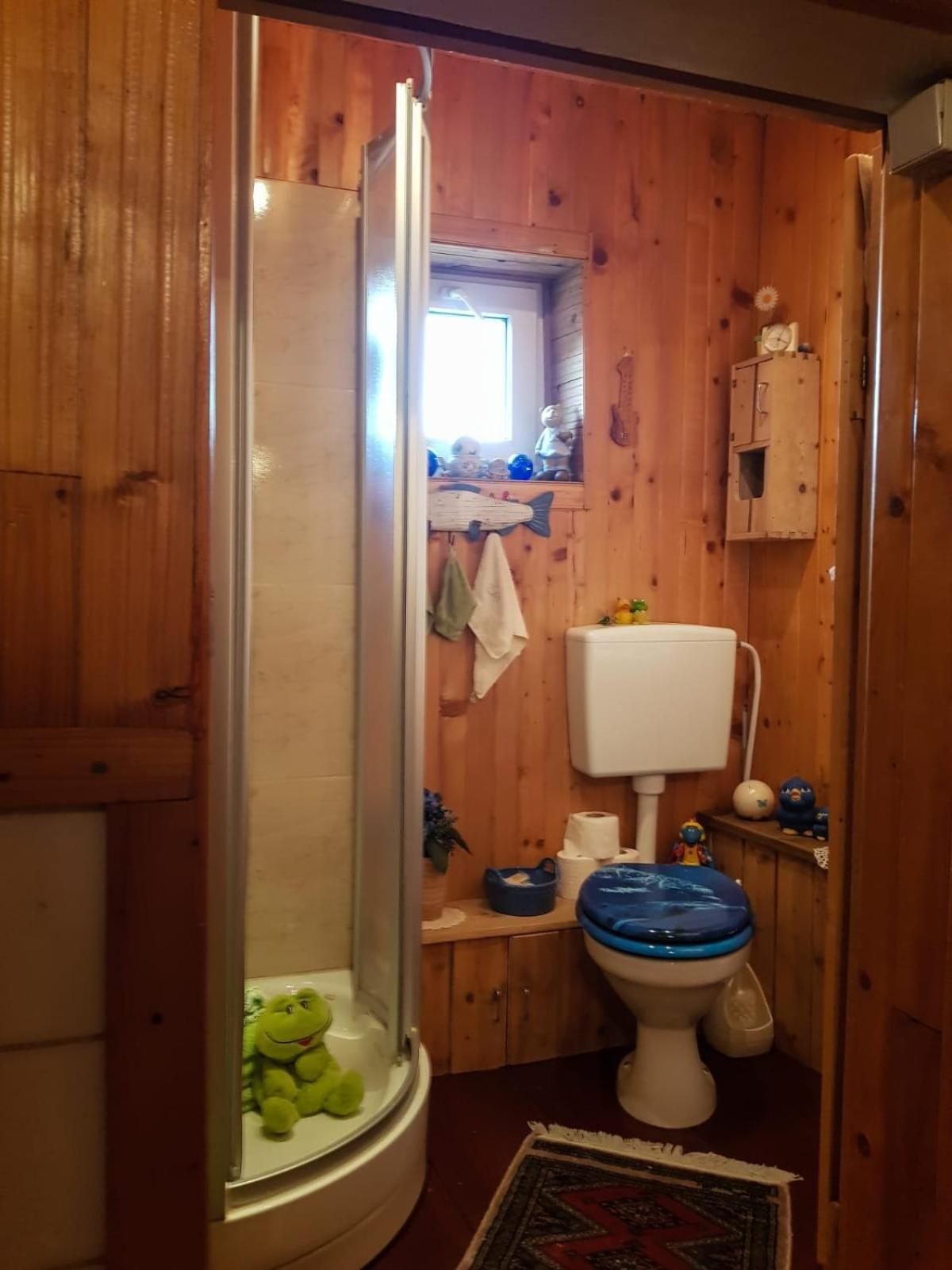 סיגישוארה Littel Green Old Home מראה חיצוני תמונה